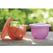 Герметичные емкости Очарование 500мл 2шт сиреневая и кораловая