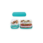 Набор емкостей Полный состав 250 мл 2шт и 500 мл Tupperware малый