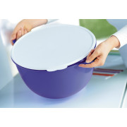 Герметичная чаша Милиан 14л фиолетовая