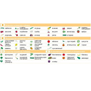 Умный холодильник Мини Tupperware