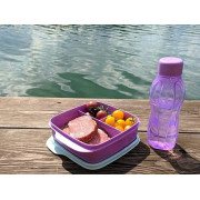 Герметичный ланч-бокс Школьник с разделителями сиреневый с голубой крышкой