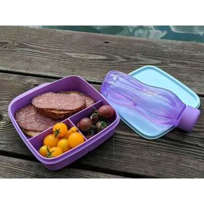 Герметичный ланч-бокс Школьник с разделителями сиреневый с голубой крышкой Герметичный ланч-бокс Школьник с разделителями сиреневый с голубой крышкой