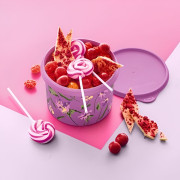 Контейнер Крокуси 1,1 л Tupperware