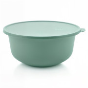 Чаша Алоха 4л мятная Tupperware