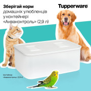 Контейнер Акваконтроль 2,9л Tupperware белый