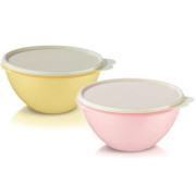 Набор чаш Брауни Tupperware 2шт разноцветные