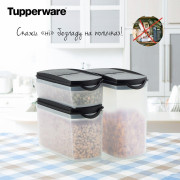 Компактус Новинка 1,6л Tupperware