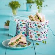 Набор контейнеров кубикс Рио Tupperware