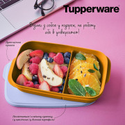 Контейнер с разделителем Tupperware