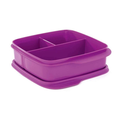 Герметичный ланч-бокс Школьник с разделителями фиолетовый Герметичный ланч-бокс Школьник с разделителями фиолетовый