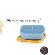 Герметичный ланч-бокс Школьник с разделителями голубой