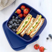 Герметичный ланч-бокс Школьник с разделителями синий