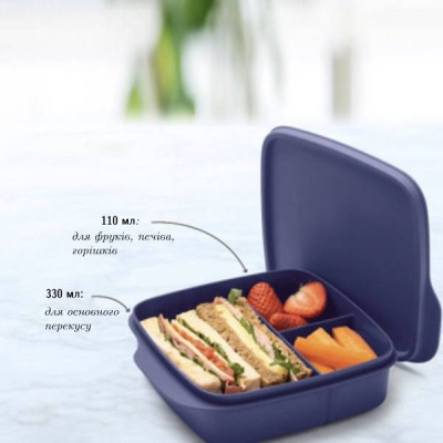 Герметичный ланч-бокс Школьник с разделителями синий Герметичный ланч-бокс Школьник с разделителями синий