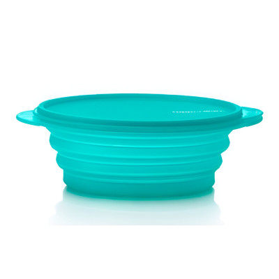 Контейнер Мини-макс 1,5 л бирюзовий Tupperware Контейнер Мини-макс 1,5 л бирюзовий Tupperware