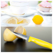 Разделочный нож Гурман с чехлом Tupperware салатовый