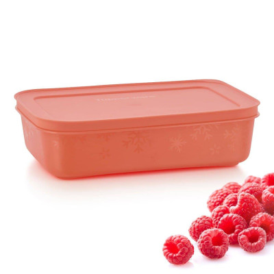 Охлаждающий лоток 1л Tupperware для морозильной камеры красный Охлаждающий лоток 1л Tupperware для морозильной камеры красный
