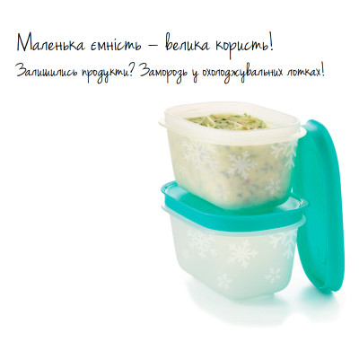 Набор Охлаждающих лотков 170мл Tupperware 2шт Набор Охлаждающих лотков 170мл Tupperware 2шт