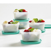 Набор Охлаждающих лотков 170мл Tupperware 2шт