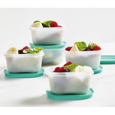 Набор Охлаждающих лотков 170мл Tupperware 2шт Набор Охлаждающих лотков 170мл Tupperware 2шт