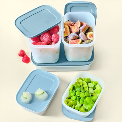 Набор Охлаждающих лотков Tupperware 1л низкий, 1л высокий 2 шт и 450мл 2шт с голубой крышкой Набор Охлаждающих лотков Tupperware 1л низкий, 1л высокий 2 шт и 450мл 2шт с голубой крышкой