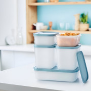 Набор Охлаждающих лотков Tupperware 1л низкий, 1л высокий 2 шт и 450мл 2шт с голубой крышкой