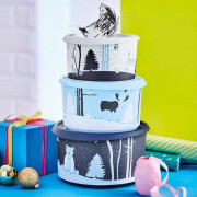 Набор контейнеров В одно касание Сказочные истории Tupperware