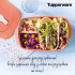Емкость Новая волна для СВЧ 1л с разделителями прямоугольная Tupperware Емкость Новая волна для СВЧ 1л с разделителями прямоугольная Tupperware