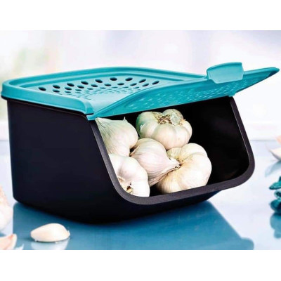 Контейнер Свежесть Tupperware малый Контейнер Свежесть Tupperware малый