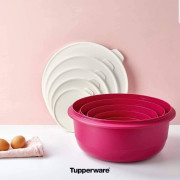 Замесочное блюдо Профи 6л Tupperware розовое