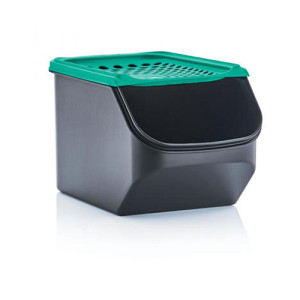 Хранение овощей и фруктов